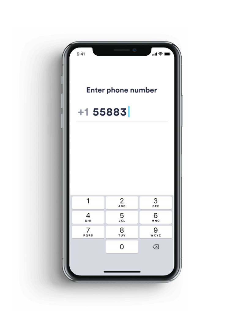 phone number input