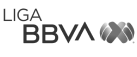 Liga BBVA Logo
