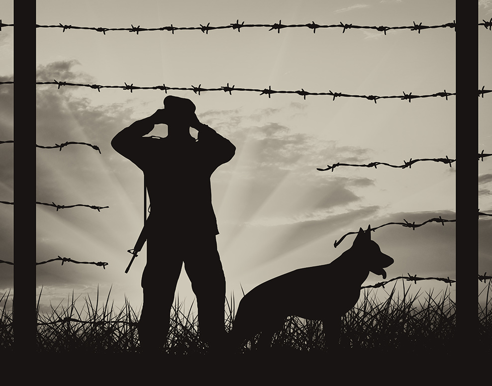 Soldier and dog at fence