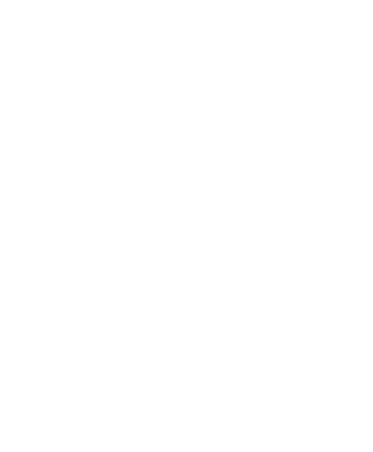 advanced fraud network and data